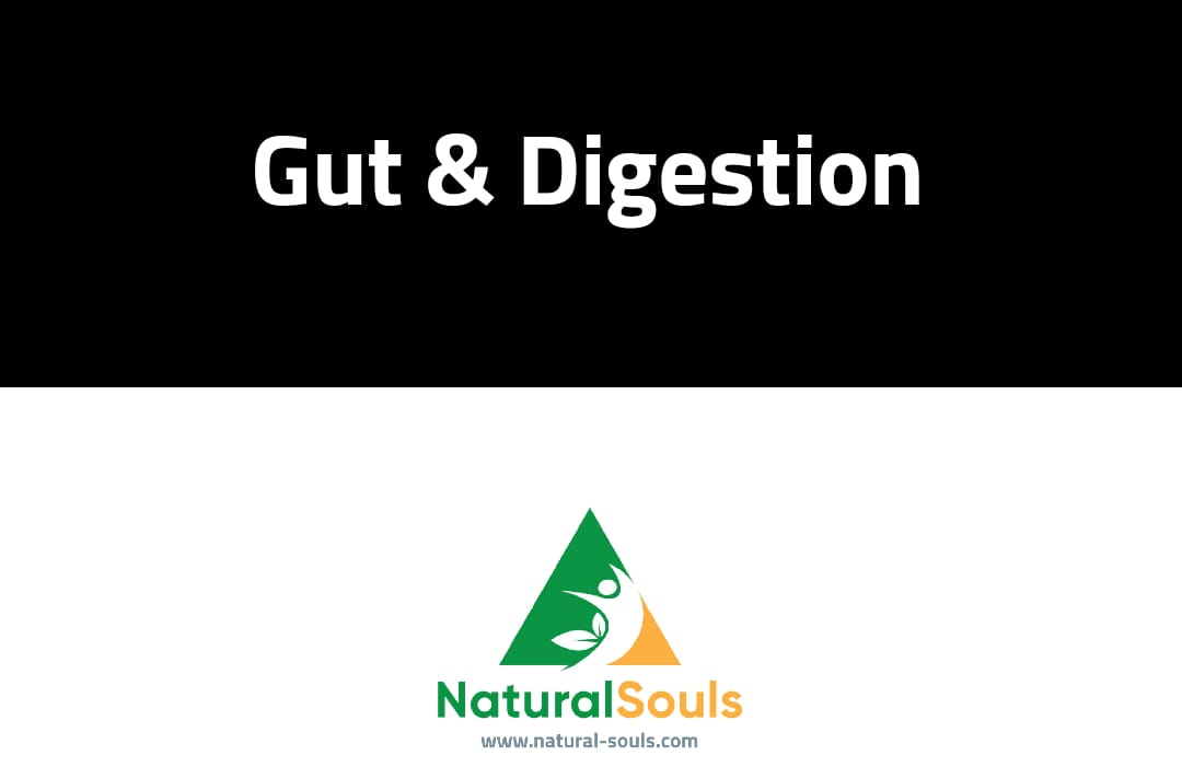 Gut Health & Digestion