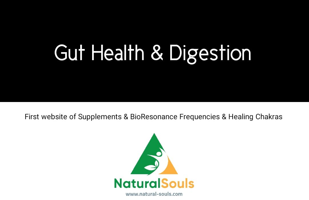 Gut Health & Digestion